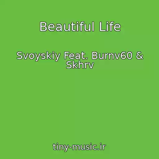 کاور آهنگ Beautiful Life از Svoyskiy Feat. Burnv60 & Skhrv