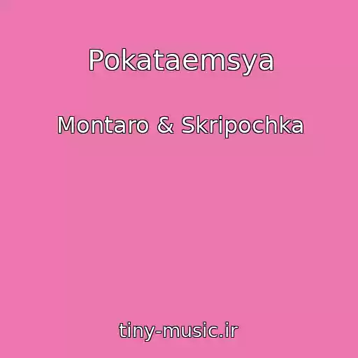 کاور آهنگ Pokataemsya از Montaro & Skripochka