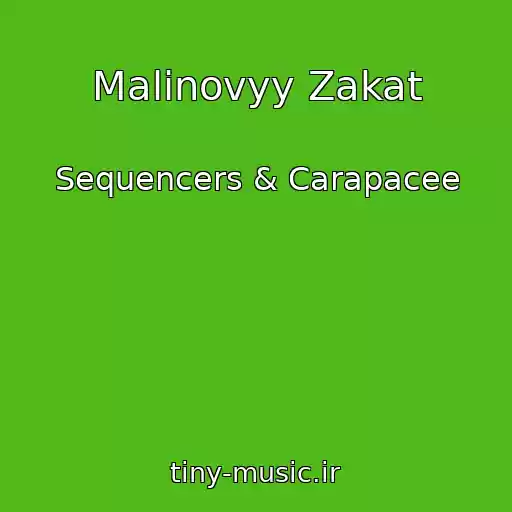 کاور آهنگ Malinovyy Zakat از Sequencers & Carapacee