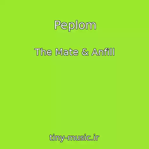 کاور آهنگ Peplom از The Mate & Anfill