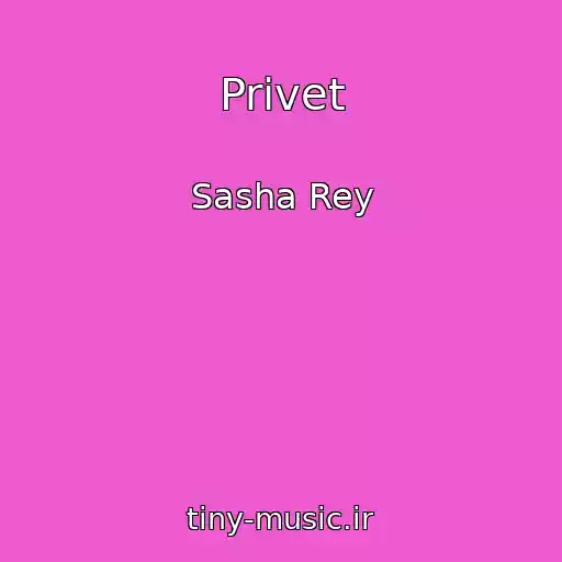 کاور آهنگ Privet از Sasha Rey