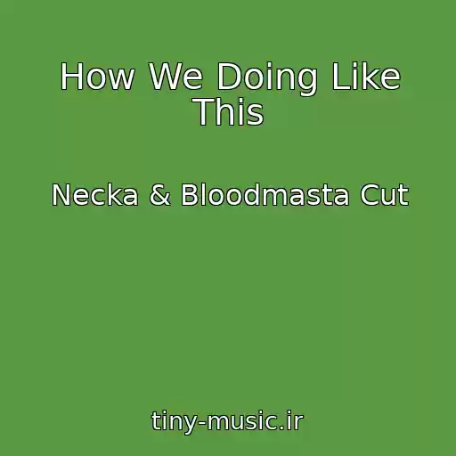 کاور آهنگ How We Doing Like This از Necka & Bloodmasta Cut