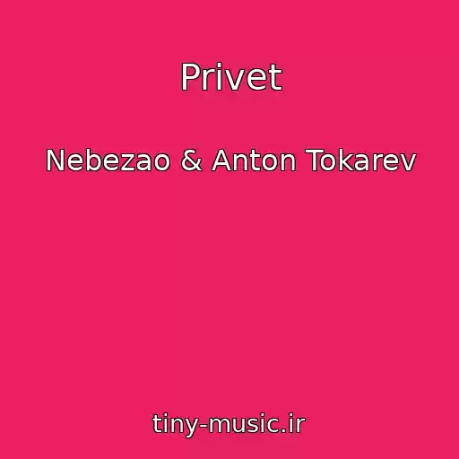 کاور آهنگ Privet از Nebezao & Anton Tokarev