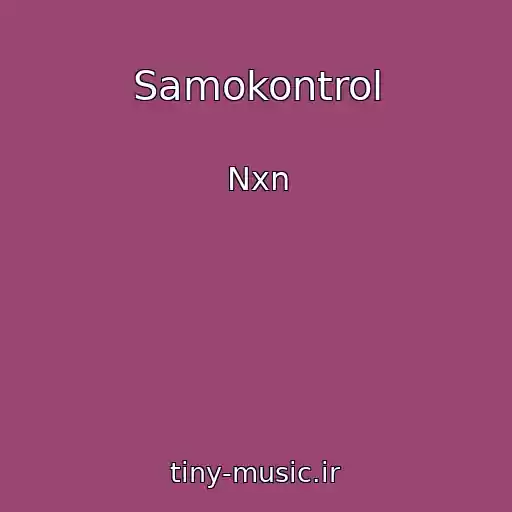 کاور آهنگ Samokontrol از Nxn