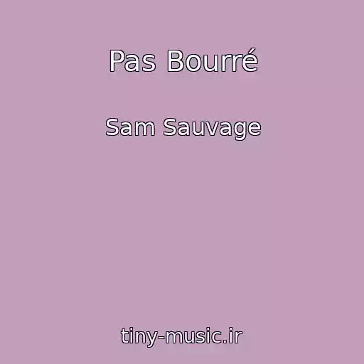 کاور آهنگ Pas Bourré از Sam Sauvage