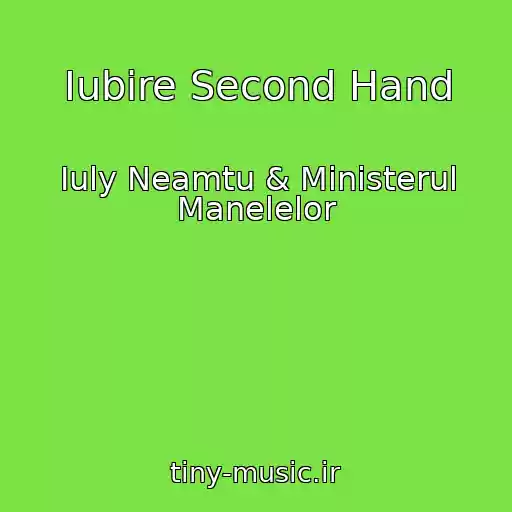 کاور آهنگ Iubire Second Hand از Iuly Neamtu & Ministerul Manelelor