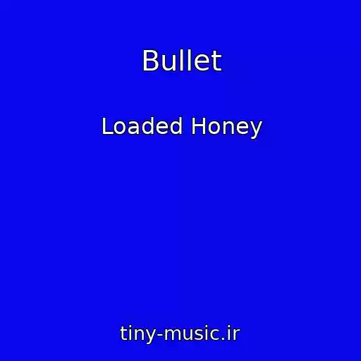 کاور آهنگ Bullet از Loaded Honey