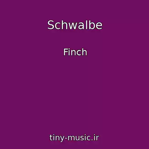 کاور آهنگ Schwalbe از Finch