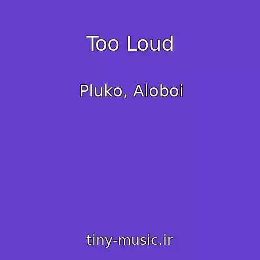 کاور آهنگ Too Loud از Pluko, Aloboi