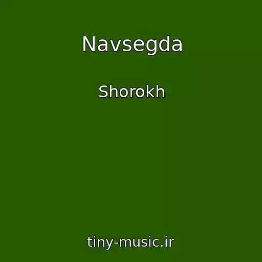 کاور آهنگ Navsegda از Shorokh