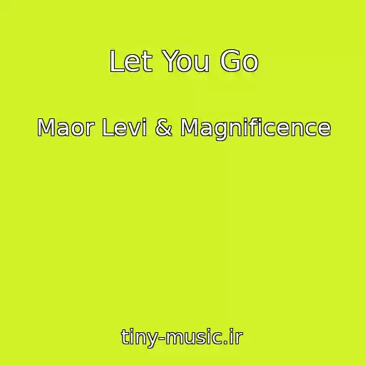 کاور آهنگ Let You Go از Maor Levi & Magnificence