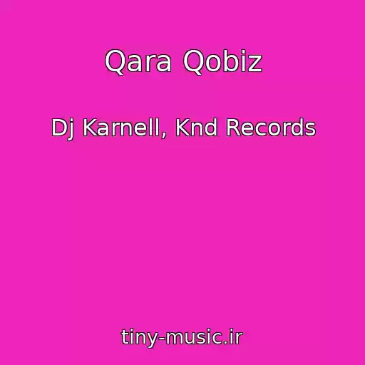 کاور آهنگ Qara Qobiz از Dj Karnell, Knd Records