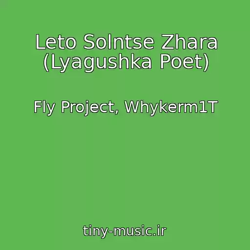 کاور آهنگ Leto Solntse Zhara (Lyagushka Poet) از Fly Project, Whykerm1T