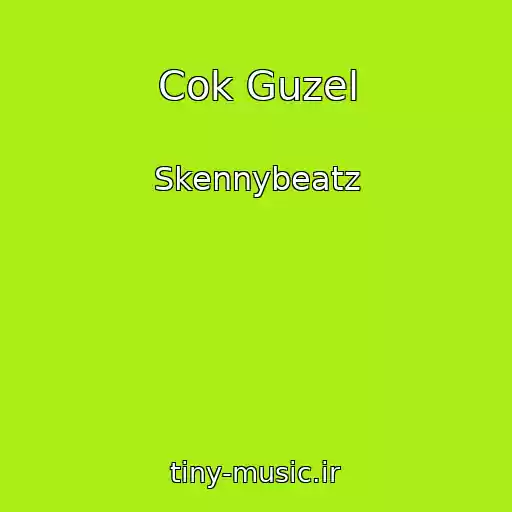 کاور آهنگ Cok Guzel از Skennybeatz