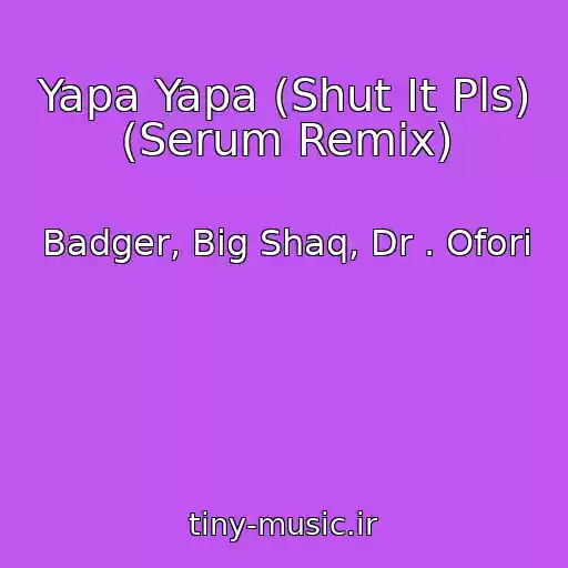 کاور آهنگ Yapa Yapa (Shut It Pls) (Serum Remix) از Badger, Big Shaq, Dr . Ofori