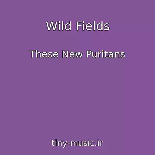 کاور آهنگ Wild Fields از These New Puritans