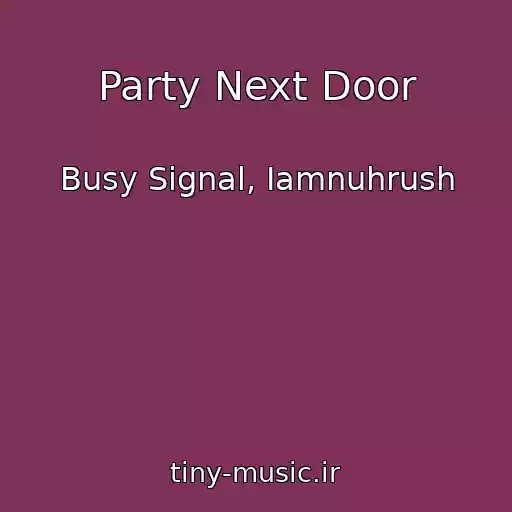 کاور آهنگ Party Next Door از Busy Signal, Iamnuhrush