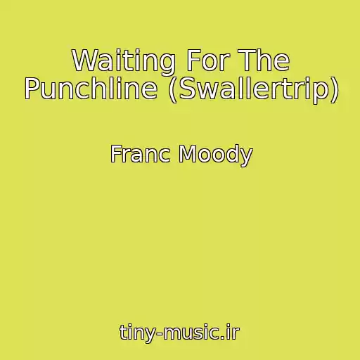 کاور آهنگ Waiting For The Punchline (Swallertrip) از Franc Moody