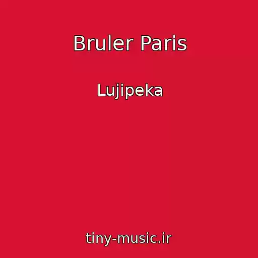 کاور آهنگ Bruler Paris از Lujipeka