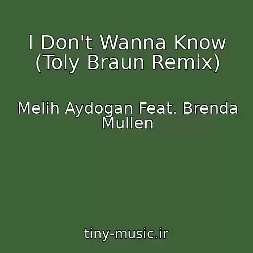 کاور آهنگ I Don't Wanna Know (Toly Braun Remix) از Melih Aydogan Feat. Brenda Mullen