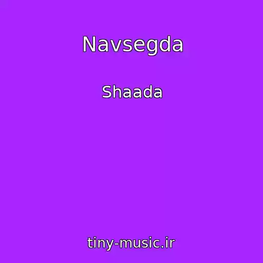 کاور آهنگ Navsegda از Shaada