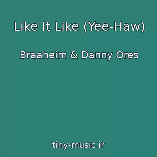 کاور آهنگ Like It Like (Yee-Haw) از Braaheim & Danny Ores
