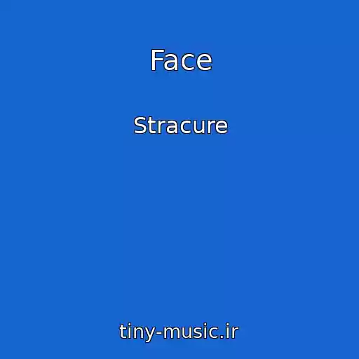 کاور آهنگ Face از Stracure
