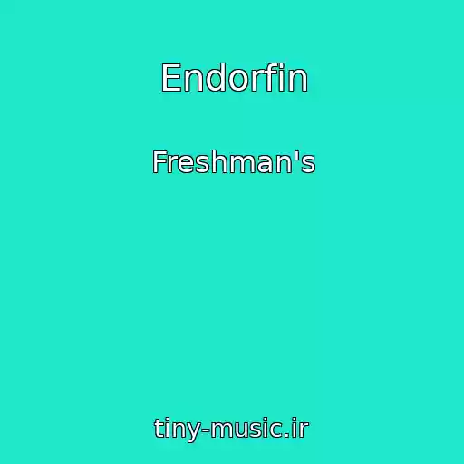 کاور آهنگ Endorfin از Freshman's