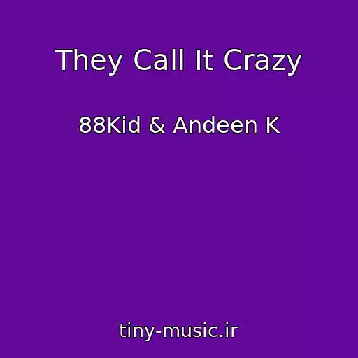کاور آهنگ They Call It Crazy از 88Kid & Andeen K