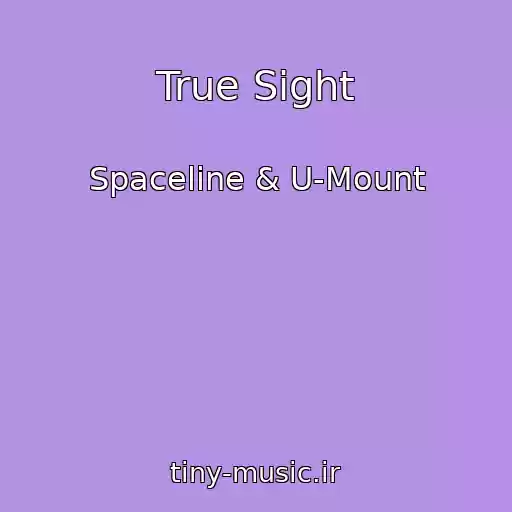 کاور آهنگ True Sight از Spaceline & U-Mount