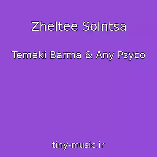 کاور آهنگ Zheltee Solntsa از Temeki Barma & Any Psyco