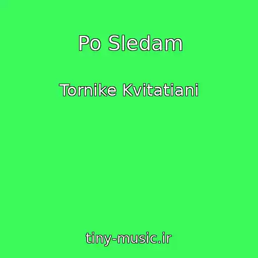 کاور آهنگ Po Sledam از Tornike Kvitatiani