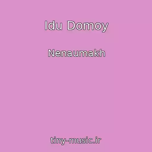 کاور آهنگ Idu Domoy از Nenaumakh