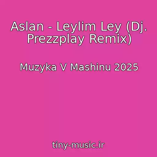 کاور آهنگ Aslan - Leylim Ley (Dj. Prezzplay Remix) از Muzyka V Mashinu 2025