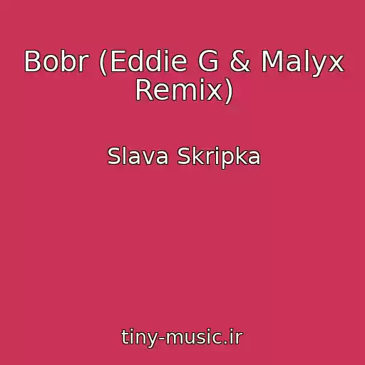 کاور آهنگ Bobr (Eddie G & Malyx Remix) از Slava Skripka