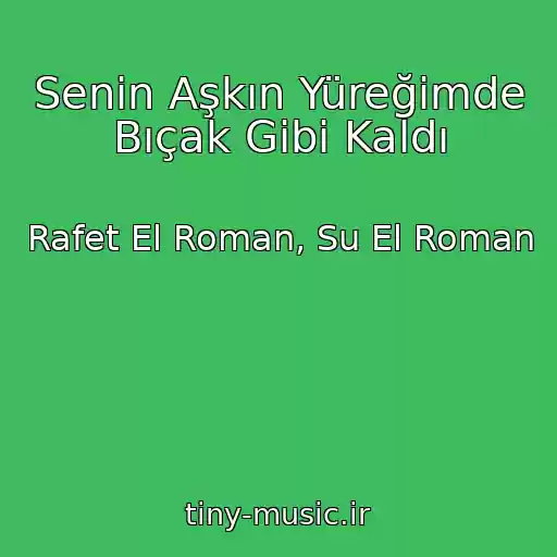 کاور آهنگ Senin Aşkın Yüreğimde Bıçak Gibi Kaldı از Rafet El Roman, Su El Roman
