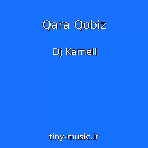 کاور آهنگ Qara Qobiz از Dj Karnell
