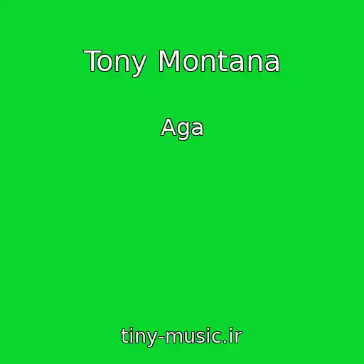 کاور آهنگ Tony Montana از Aga