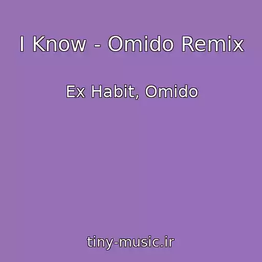 کاور آهنگ I Know - Omido Remix از Ex Habit, Omido