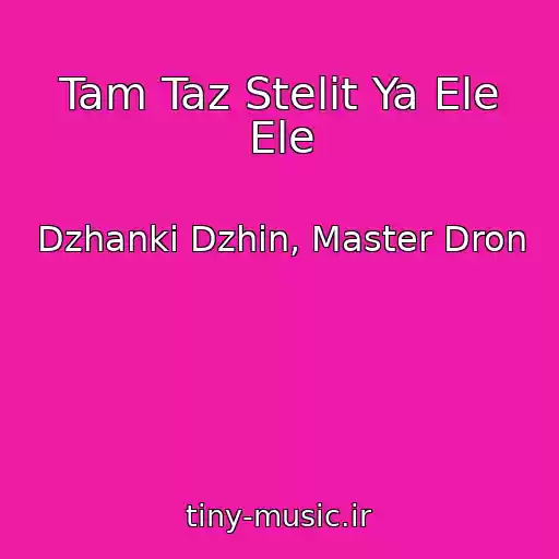 کاور آهنگ Tam Taz Stelit Ya Ele Ele از Dzhanki Dzhin, Master Dron