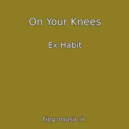 کاور آهنگ On Your Knees از Ex Habit