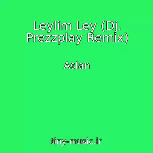کاور آهنگ Leylim Ley (Dj. Prezzplay Remix) از Aslan
