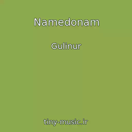کاور آهنگ Namedonam از Gulinur