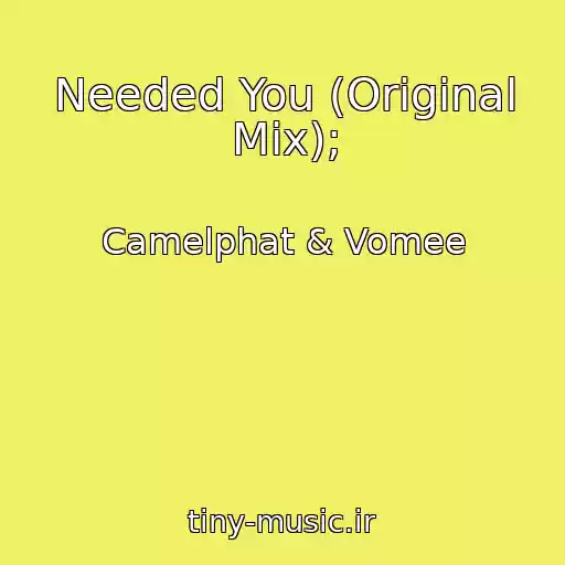 کاور آهنگ Needed You (Original Mix); از Camelphat & Vomee
