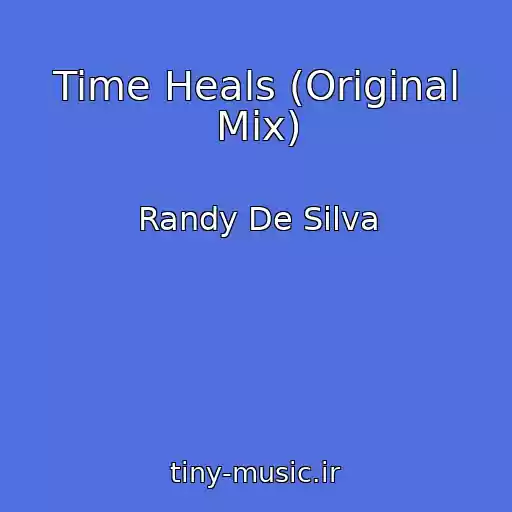 کاور آهنگ Time Heals (Original Mix) از Randy De Silva