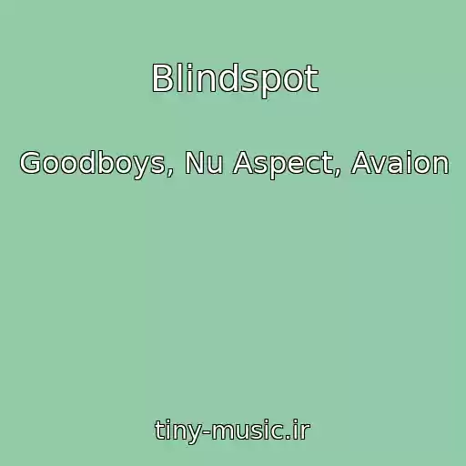 کاور آهنگ Blindspot از Goodboys, Nu Aspect, Avaion