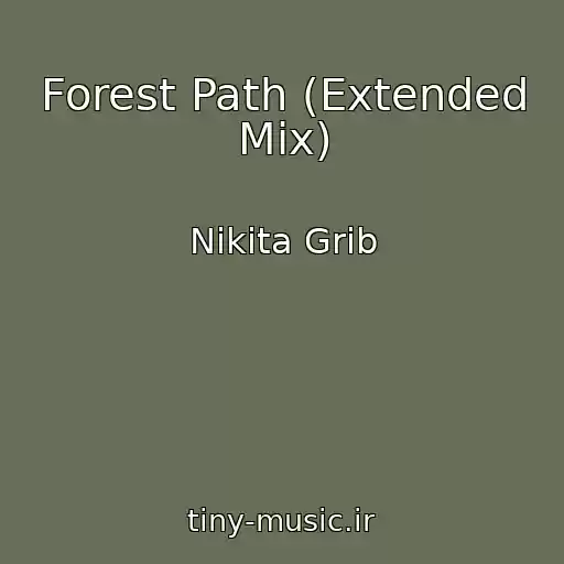 کاور آهنگ Forest Path (Extended Mix) از Nikita Grib