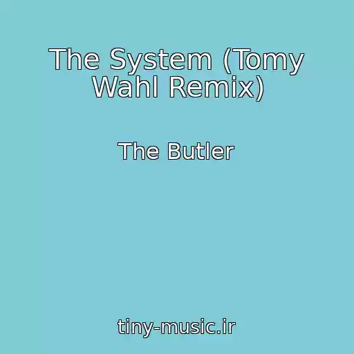کاور آهنگ The System (Tomy Wahl Remix) از The Butler