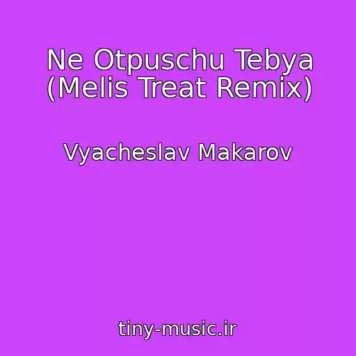 کاور آهنگ Ne Otpuschu Tebya (Melis Treat Remix) از Vyacheslav Makarov
