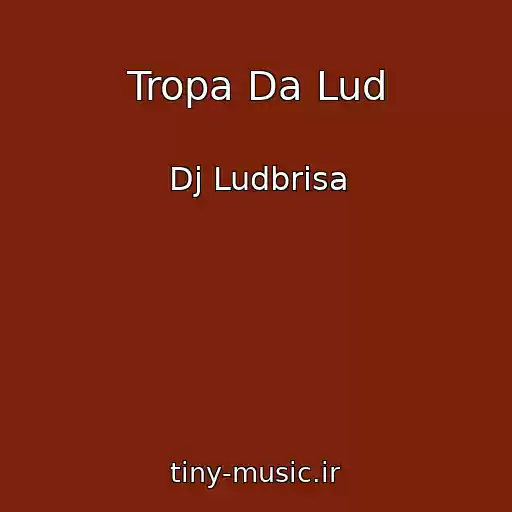 کاور آهنگ Tropa Da Lud از Dj Ludbrisa